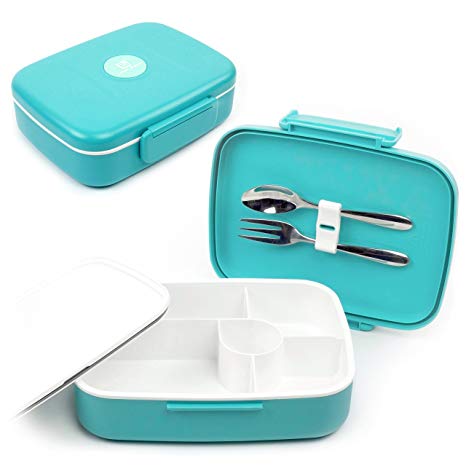Look Back Lunchbox - Bento Lunchbox