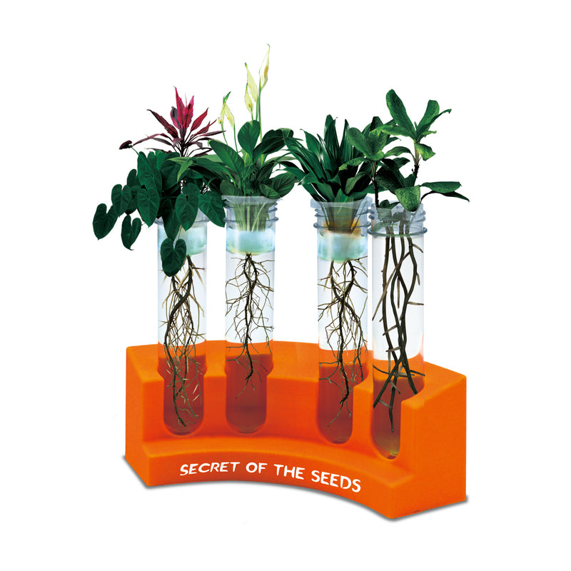 Big Bang Science STEAM Experiment Small Kit - Explore Growth of Plants