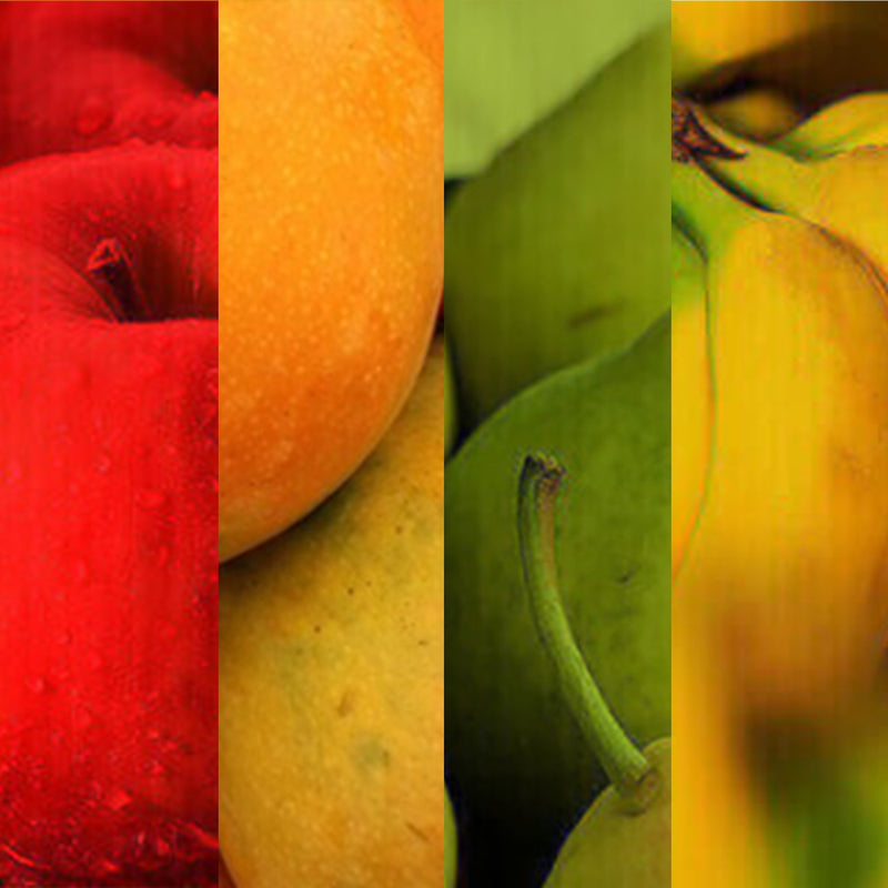 Good Goût  - Variety Pack 4x120g - Variety Fruits 4x120g (6 mos)