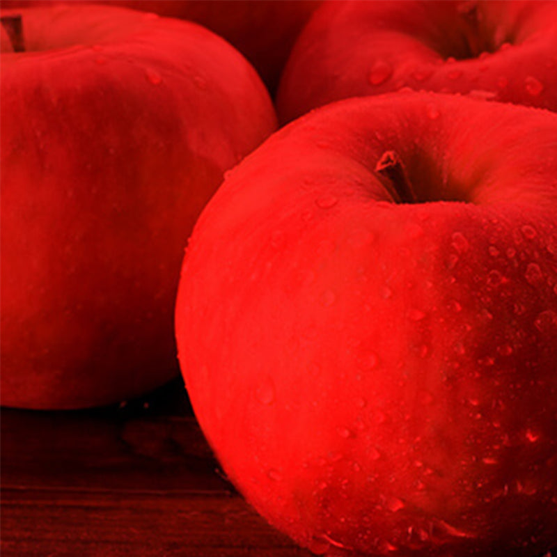 Good Goût  - Gala Apple 4x85g