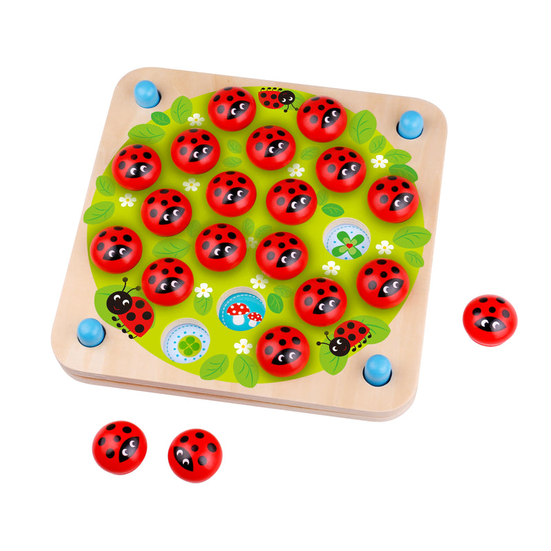 Memory Game - Ladybug