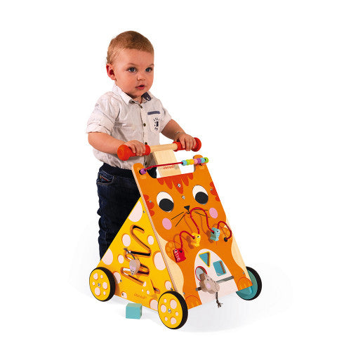 Multi-Activities Cat Baby Walker