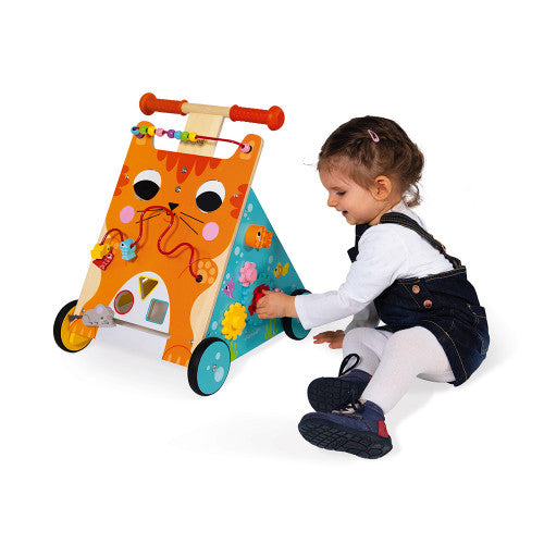 Multi-Activities Cat Baby Walker