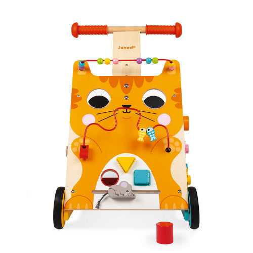 Multi-Activities Cat Baby Walker