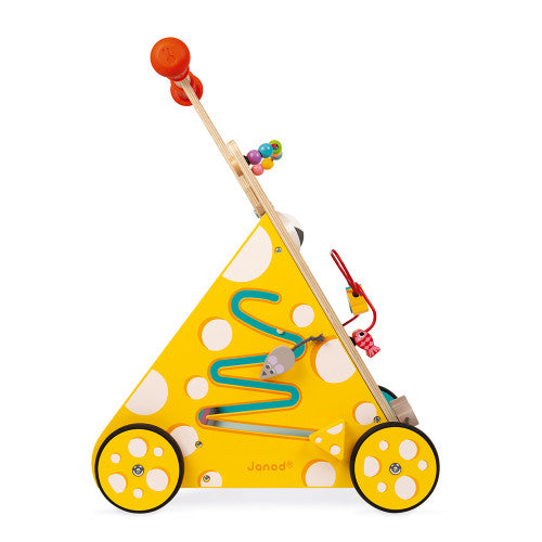 Multi-Activities Cat Baby Walker