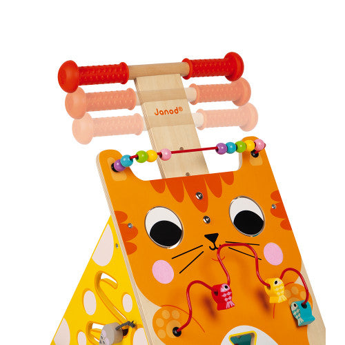 Multi-Activities Cat Baby Walker