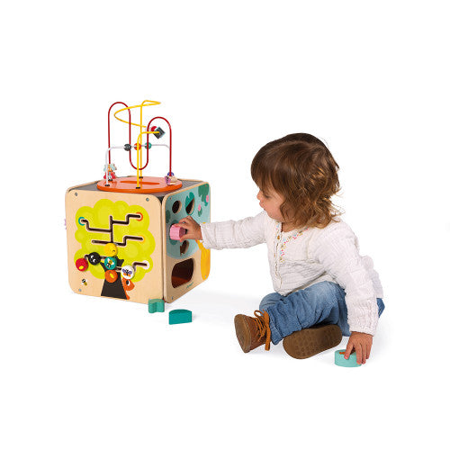 Multi-Activity Looping Toy